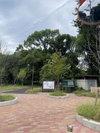 和田堀公園の画像1