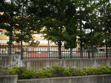 私立　城西大学付属城西中学校の画像5