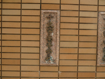 私立　十文字高等学校