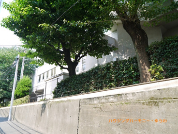 板橋区立　加賀小学校の画像4