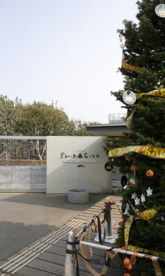調布白菊幼稚園の画像1