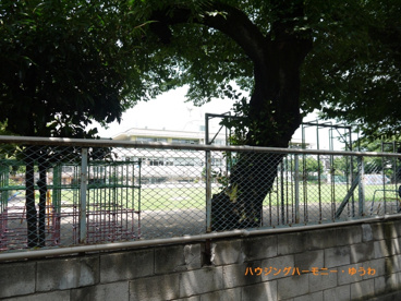 板橋区立　弥生小学校の画像4