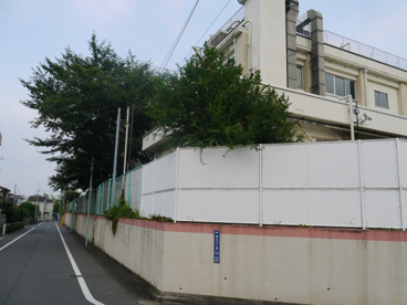 板橋区立　紅梅小学校の画像4