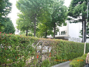 板橋区立　高島第五小学校の画像5
