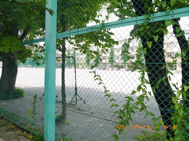 板橋区立 上板橋第一中学校の画像5