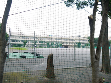 板橋区立 高島第三中学校の画像5