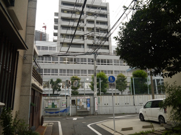 私立　東京音楽大学付属幼稚園の画像2