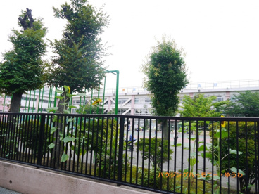 北区立　豊川小学校の画像4