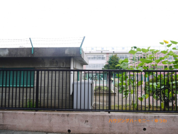 北区立　豊川小学校の画像5