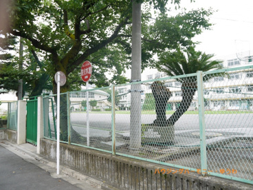 北区立　堀船小学校の画像5