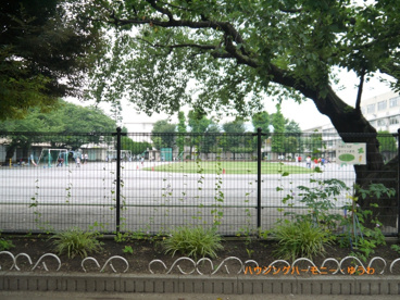北区立　桐ヶ丘郷小学校の画像3