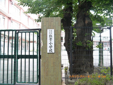北区立　紅葉小学校の画像3