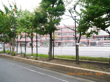 北区立　紅葉小学校の画像5