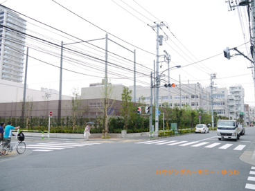 北区立　赤羽岩淵中学校の画像5
