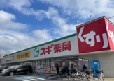 スギドラッグ 江戸川瑞江店