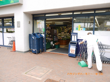 マルエツ プチ 上中里店の画像2