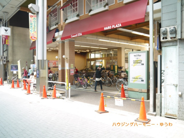 コモディ イイダ 大山店(ハッピーロード)の画像3