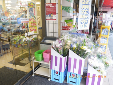 コモディ イイダ 徳丸店の画像4