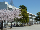 芝根小学校