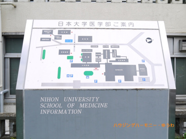 日本大学板橋病院の画像2