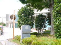 東京都保健医療公社豊島病院