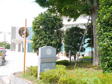 東京都保健医療公社豊島病院の画像1