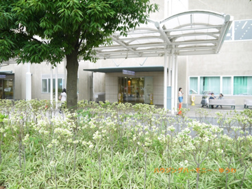 東京北社会保険病院の画像2