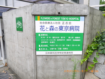 花と森の東京病院の画像4