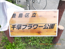 千早フラワー公園