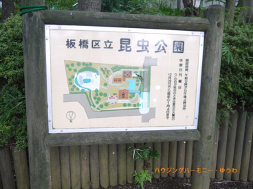 昆虫公園の画像2