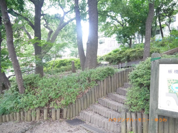 昆虫公園の画像4
