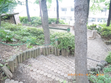 昆虫公園の画像5