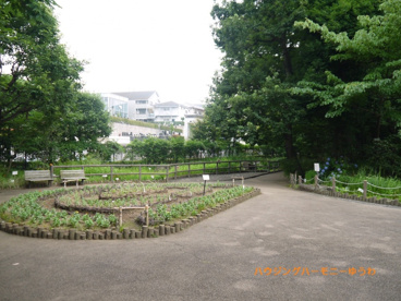 赤塚植物園の画像3