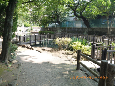 氷川つり堀公園の画像3