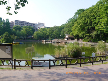 見次公園舟遊場の画像4