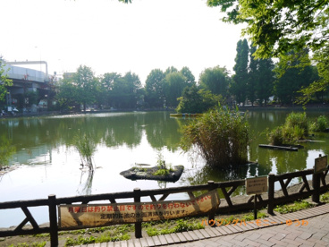 見次公園舟遊場の画像5