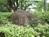 飛鳥山公園