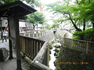 音無親水公園の画像3
