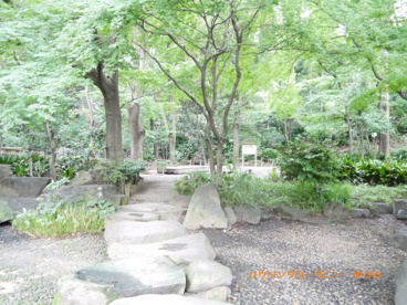 名主の滝公園の画像4