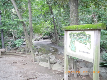 名主の滝公園の画像5