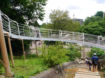 清水坂公園の画像2