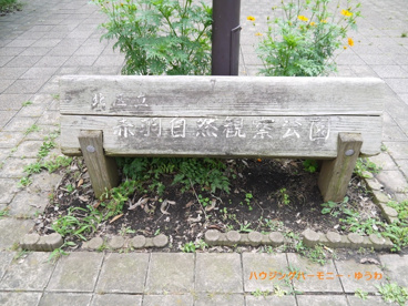 赤羽自然観察公園の画像1