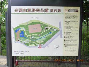 赤羽自然観察公園の画像2
