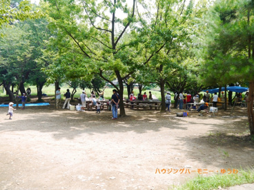 赤羽自然観察公園の画像3