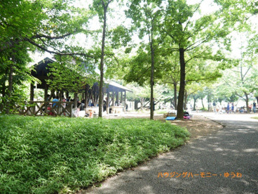 赤羽自然観察公園の画像4