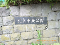 中央公園