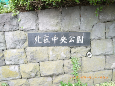 中央公園の画像1