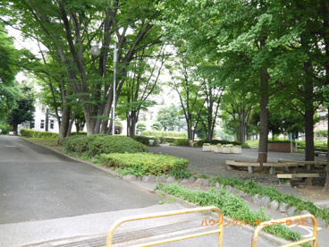 中央公園の画像2
