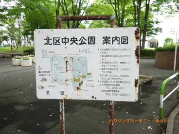 中央公園の画像3