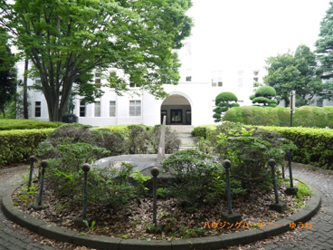 中央公園の画像4